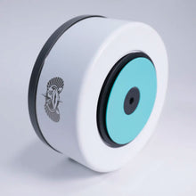 Load image into Gallery viewer, Toadfish Non-Tipping Dog Bowl