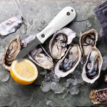 Load image into Gallery viewer, Toadfish Shucker's Bundle- Oyster Knife with Cloth